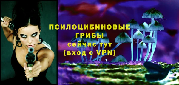 ECSTASY Арсеньев